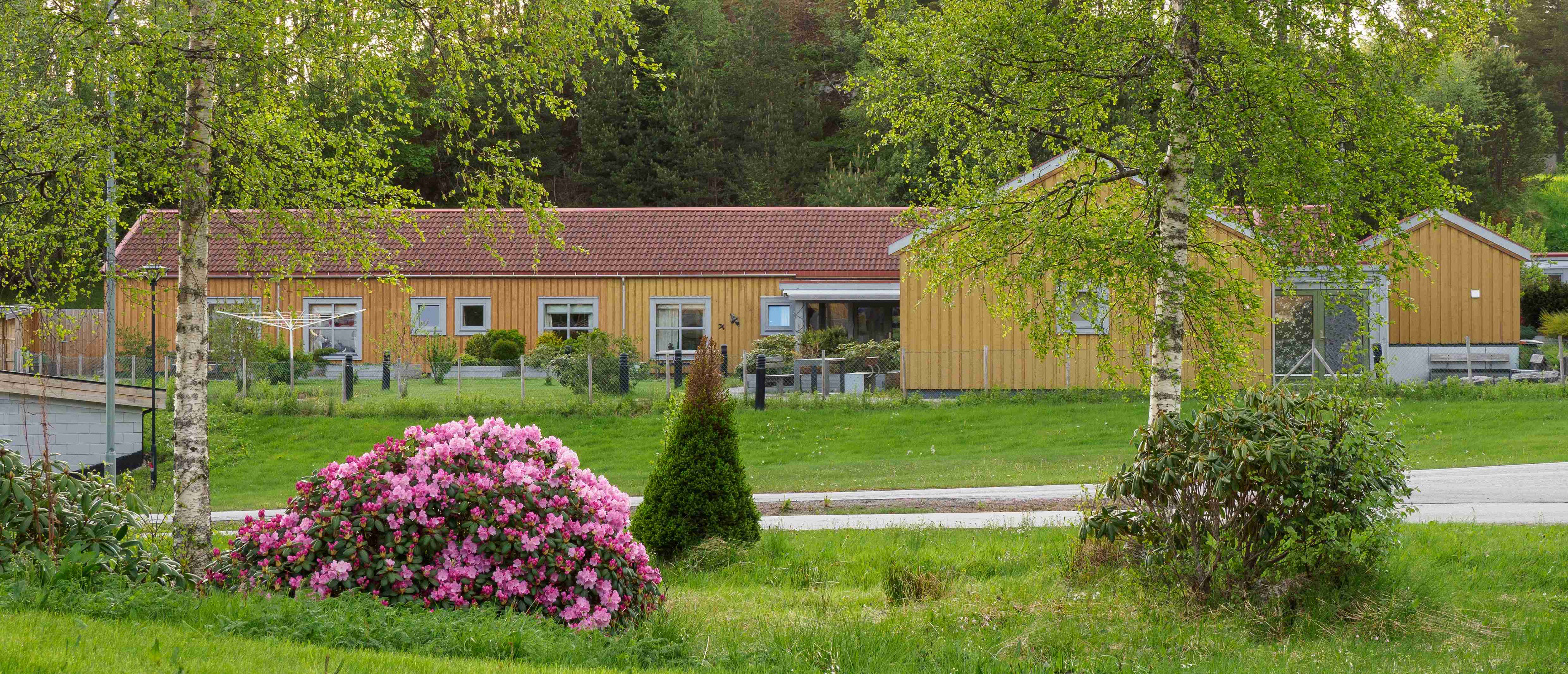 Aure kommune Habiliterings- og demens